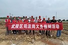 新时代文明实践耀武陵丨武陵区司法局：义务植树，播种绿色希望