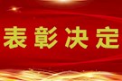 关于表彰武陵区首届“田工道德奖”的决定
